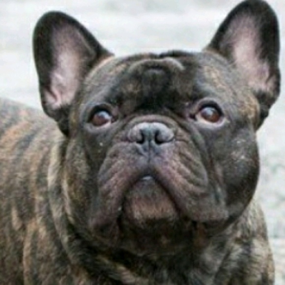 Meet your Posher, Anastasiya - Picture 1 of 1